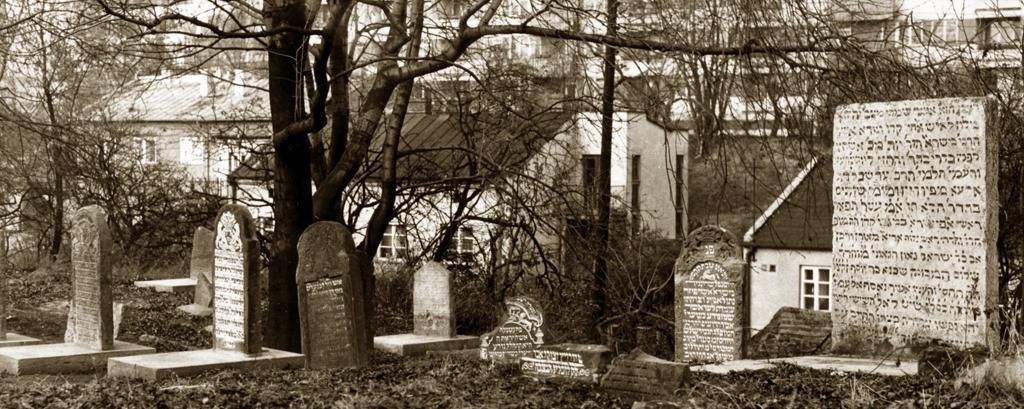 Istnieją różne określenia cmentarza żydowskiego. Żydzi nazywają cmentarz następująco: dom wieczności (hebr. bet olam, jid. bejsojłem), dom życia (bet chajim), dom grobów (bet kwarot / bejsakwores).