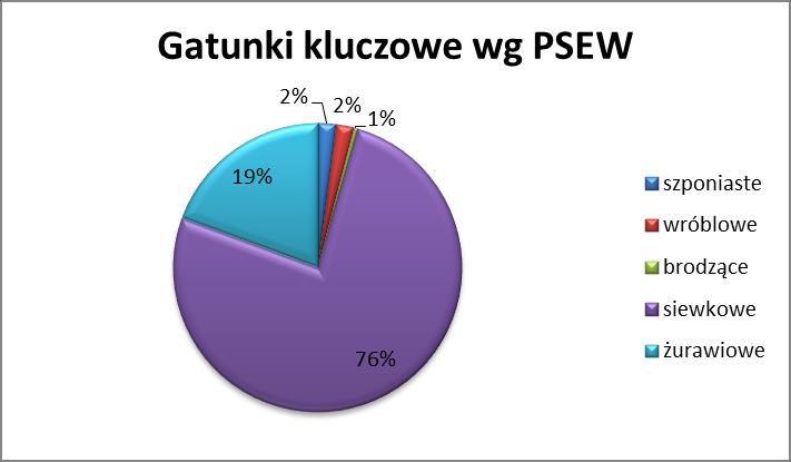 Rysunek 18. Skład zgrupowania ptaków kluczowych wg PSEW oraz uważanych za kolizyjne, użytkujących przestrzeń powietrzną planowanej elektrowni wiatrowej w podziale na rzędy.