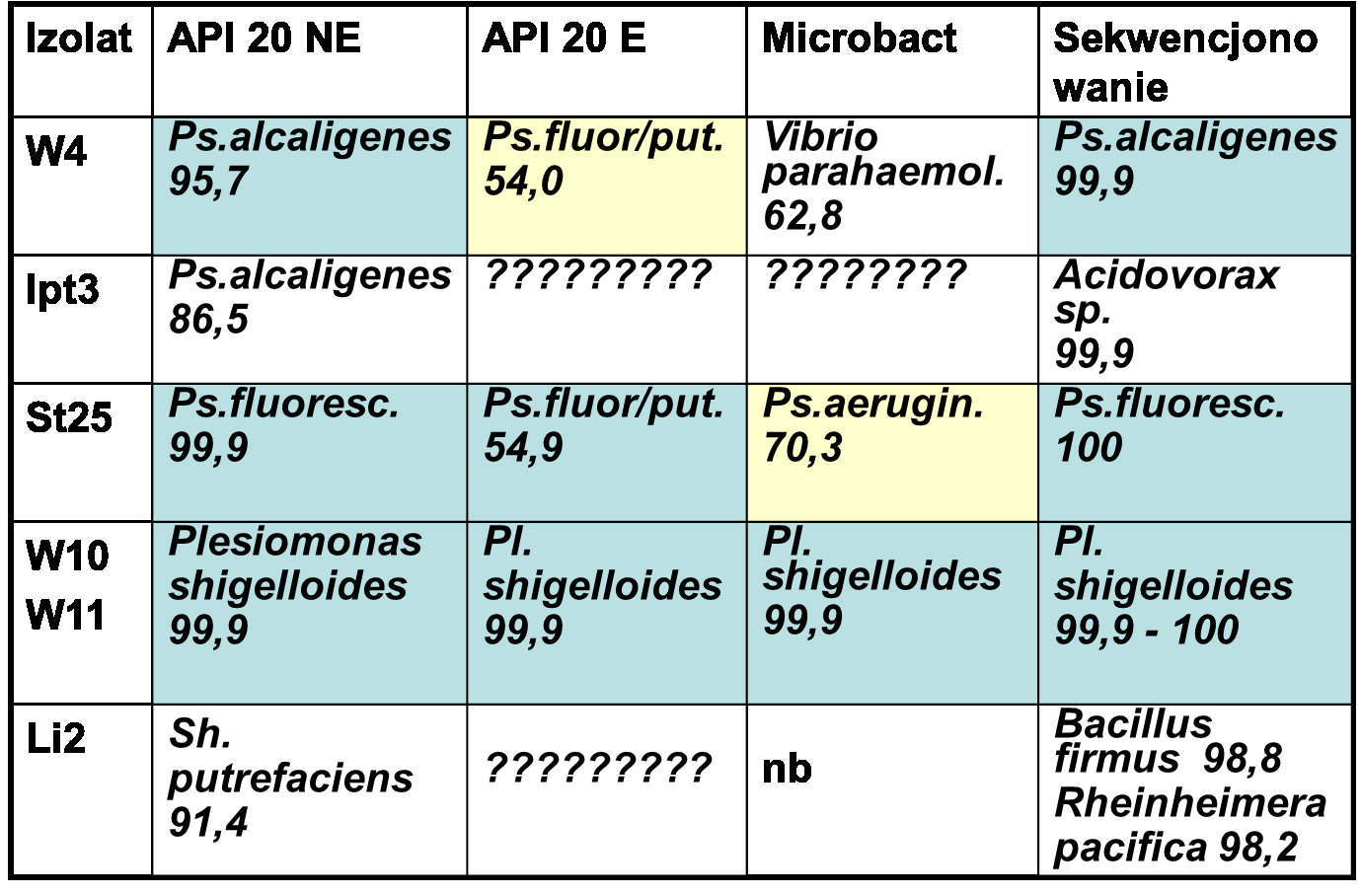 Nowo pojawiające się