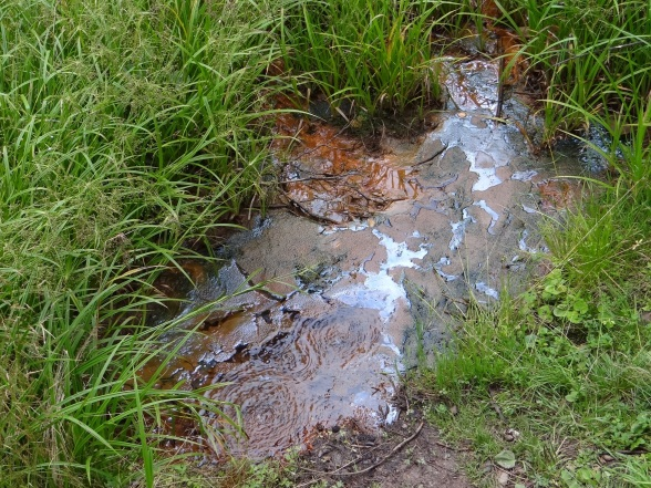 W latach 60 ubiegłego wieku w centrum małopolskiej wsi Tylicz powstał tajny ośrodek badań kosmicznych, Ośrodek miał produkować, dla radzieckich