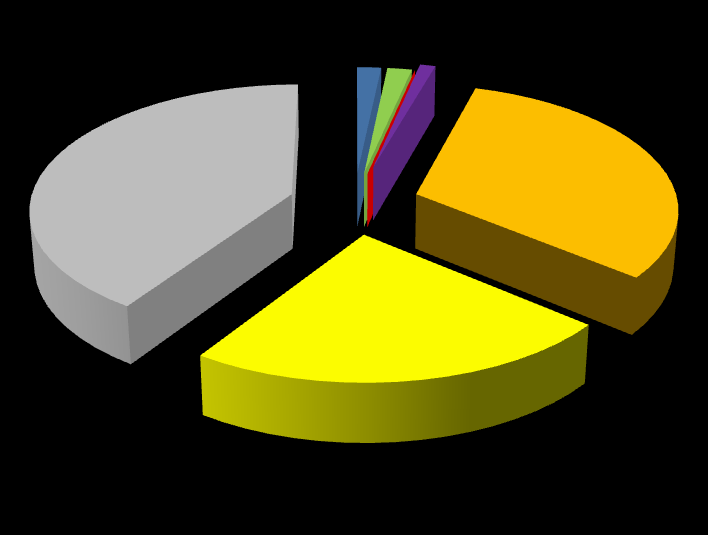 40,68% 1,68% 1,72% 0,01% 1,09% 31,51% Budynki użyteczności publicznej mienie gmin Transport publiczny Flota gminna Oświetlenie ulic Mieszkalnictwo Transport indywidualny 23,32% Przemysł, usługi,