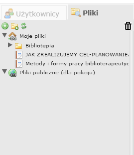 Po przyłączeniu się do sesji otwiera się widok tzw. białej tablicy, z bogatą paletą możliwości.