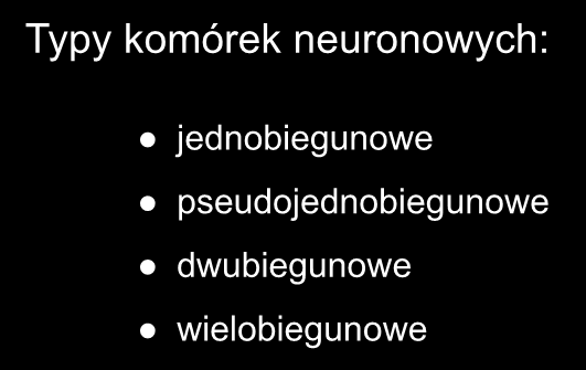 Typy komórek neuronowych: jednobiegunowe pseudojednobiegunowe