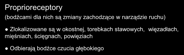 Receptory układu somatycznego Proprioreceptory (bodźcami dla nich są zmiany zachodzące w narządzie ruchu) Zlokalizowane są w okostnej,