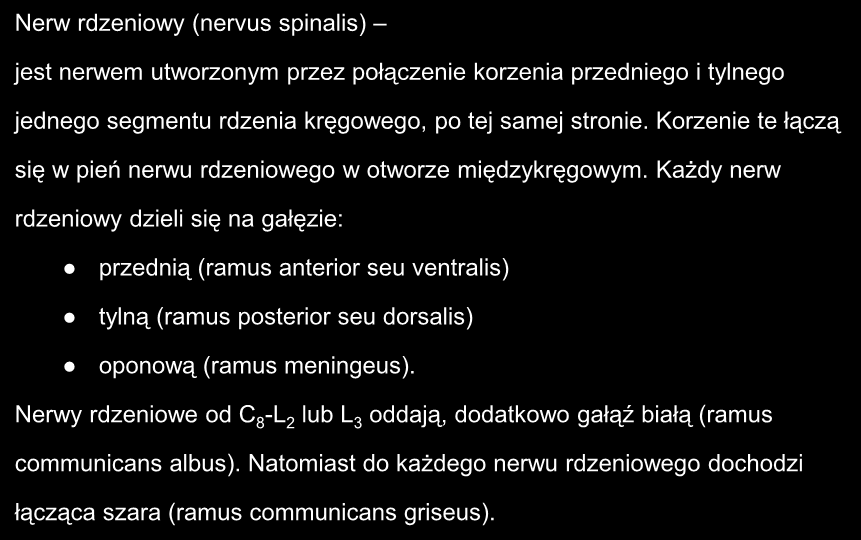 Nerw rdzeniowy (nervus spinalis) jest nerwem utworzonym przez połączenie korzenia przedniego i tylnego jednego segmentu rdzenia kręgowego, po tej samej stronie.