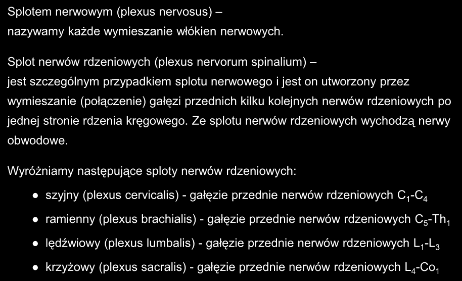 Splotem nerwowym (plexus nervosus) nazywamy każde wymieszanie włókien nerwowych.