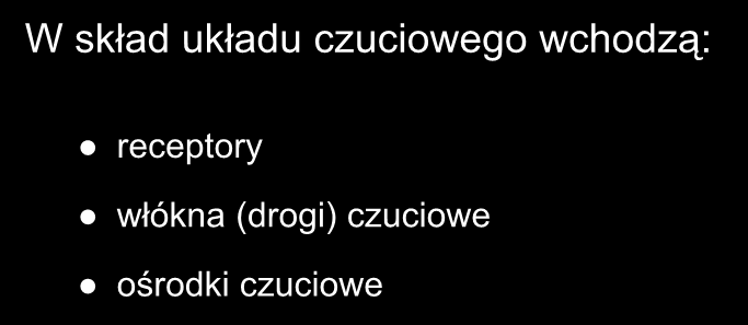 W skład układu czuciowego wchodzą: receptory włókna (drogi) czuciowe ośrodki