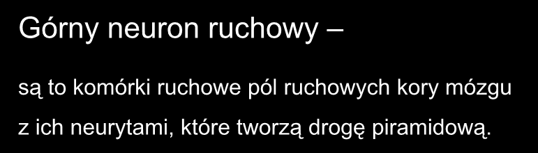 Górny neuron ruchowy są to komórki ruchowe pól ruchowych kory mózgu z ich