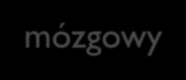 Czynniki regulujące przepływ mózgowy Pozamózgowe Ciśnienie tętnicze krwi Ciśnienie żylne krwi Lepkość krwi