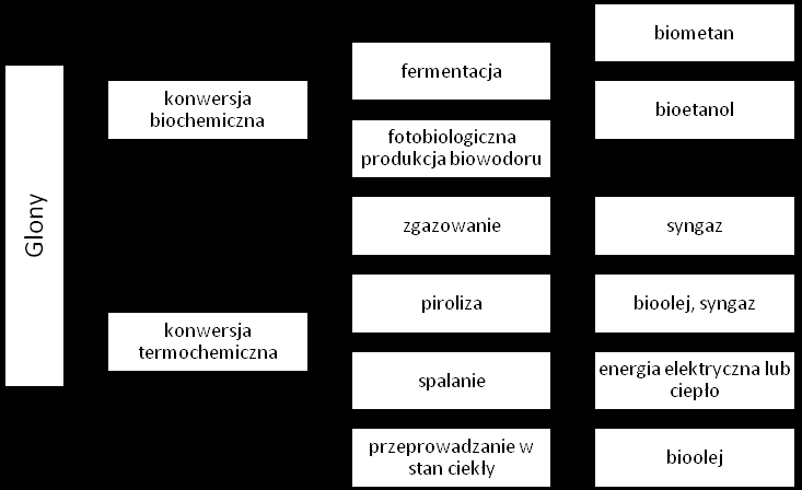 454 K. KUPCZYK i in. mogą wynikać z faktu, iż w składzie biochemicznym alg dominują białka, co może bezpośrednio wpływać na zbyt niski stosunek C:N.