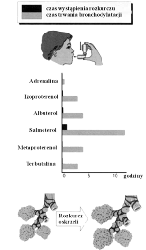 Leki β1 i β2 adrenergiczne Działania uboczne tachykardia, zaburzenia rytmu, czasem migotanie komór. bóle głowy (niekiedy utrata przytomności). Leki pobudzające receptory α- i β-adrenergiczne 2.