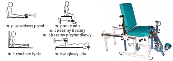 O K R E L E N I E S I M I N I O W Y C H P O D C Z A S C H O D U N A P O D S T A W I E S Y G N A W a m p l t u y, l a t e g o t e n a l e a o w y k o n a ć b a a n e u-m o w y m b a a n e m c h o u.