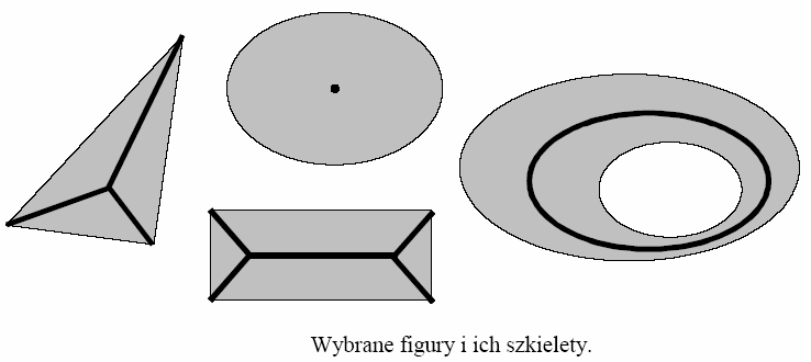 Szkieletyzacja Szkieletyzacjajest operacją pozwalającą wyodrębnić osiowe punkty (szkielety) w analizowanym obrazie.