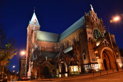 Liturgia tego dnia jest pamiątką uroczystego wjazdu Jezusa do Jerozolimy pięć dni przed Jego Męką.