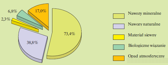 Struktura źródeł przychodów azotu