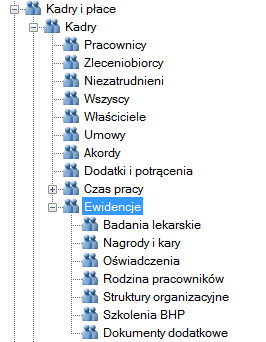 Kadry / Ewidencje Wersja platynowa programu zawiera dodatkowy folder o nazwie Ewidencje.