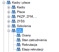 ZZL - Zarządzanie Zasobami Ludzkimi Listy dostępne są w wersji Platynowej programu.