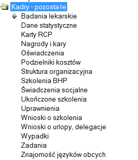 Kadry pozostałe W dostępnych formularzach zapisywane są opcjonalne dane kadrowe. Nie są one niezbędne dla przygotowania list płac, deklaracji PIT i ZUS.