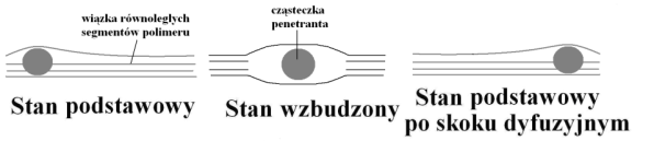 log E D D Charakterystyka membra -4 a) b) kauczuk aturaly 20-6 10 kauczuk aturaly -8 poli(octa wiylu) poli(octa wiylu) -10 2.4 2.8 3.