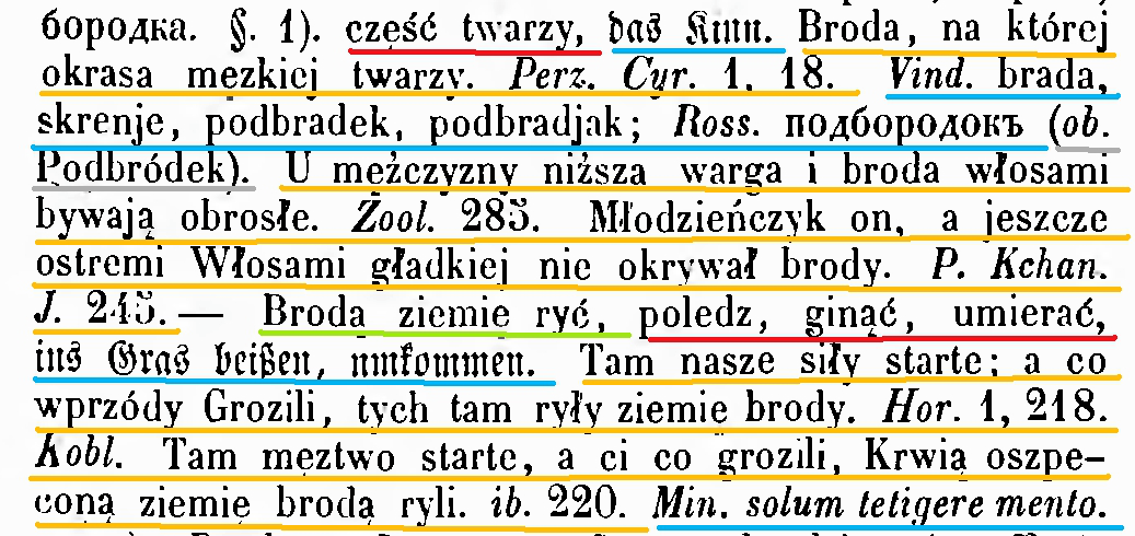 5/18 Wprowadzenie Retrodygitalizacja słownika Lindego Przykład problemu analiza struktury Bilińska,