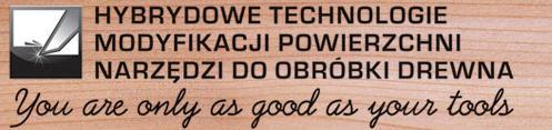 Mechatroniki, Nanotechnologii i Techniki Próżniowej w ramach projektu POIG.01.03.