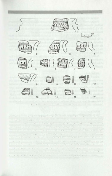 Corded Ware Culture Settlements on Central European Uplands 27 Fig. 3. Settlements pottery of the CWC from Karlovice (after Prostředník, Vokolek 1998) Ryc. 3. Ceramika osadowa KCS ze stanowiska Karlovice lished in the examined material.