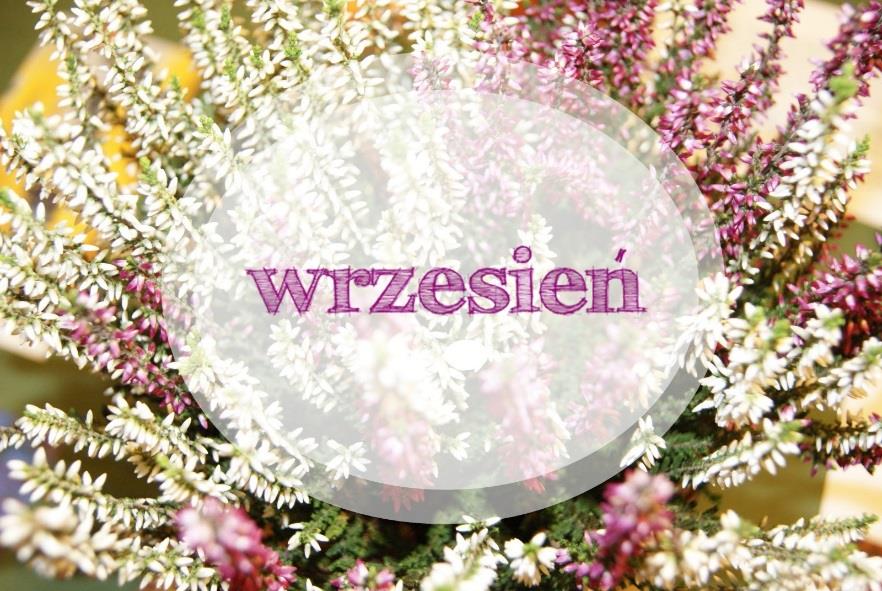 GAZETKA SZKOLNA WRZESIEŃ 2. Koła zainteresowań w roku szkolnym 2014/2015.
