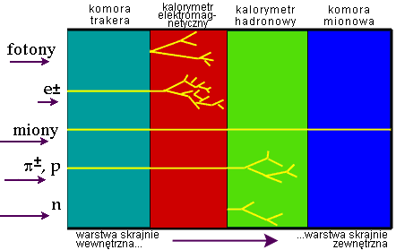 Konstrukcja detektorów Współczesne detektory cząstek elementarnych składają się z wielu elementów, które rejestrują