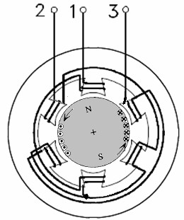 Rotor może mieć geometrię wystających nabiegunników (bieguny jawne) albo geometrię walca (bieguny utajone) z zanurzonymi w slotach uzwojeniami.