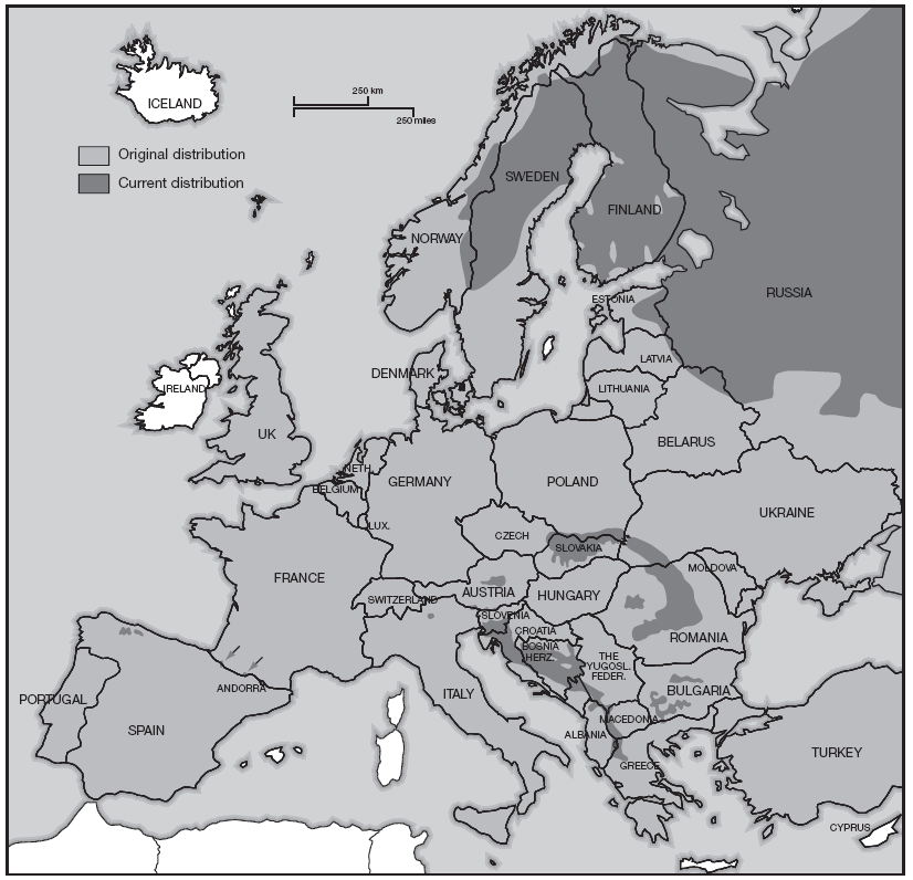 Występowanie w Europie Historyczny (jasnoszary) i aktualny