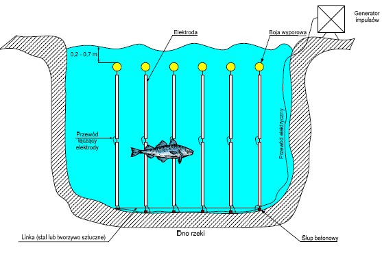 Rysunek 26. Schemat rozmieszczenie i mocowania elektrod (Potrzeby i mo żliwości stosowania barier elektryczno-elektronicznych, zabezpieczających przed wpływaniem ryb do ujęd poboru wody, ELEKTROTIM S.