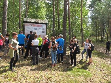 Znakowane turystyczne szlaki piesze PTTK na terenie Gostynińsko-Włocławskiego Parku Krajobrazowego Szlak Główny Kotliny Płockiej (Dobrzyków - Włocławek, dł. 71,5 km, kolor żółty) Szlak im.