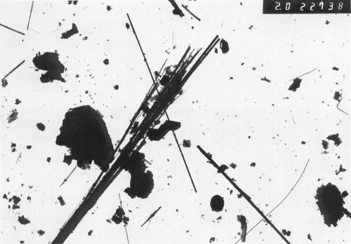 Załącznik nr 3 do Wojewódzkiego Planu Gospodarki Odpadami dla województwa mazowieckiego na lata Rysunek 7 Zdjęcie z mikroskopu ukazujące wiązki włókien krokidolitu 14 Do chorób wywoływanych przez pył