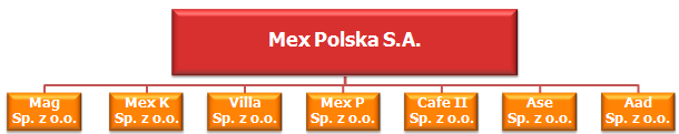 Profil Grupy Kapitałowej Mex Polska S.A.