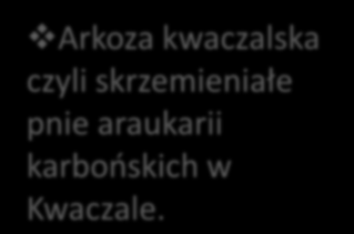 Atrakcję turystyczną stanowi: Warsztat rzemiosła garncarskiego w Regulicach z Izbą Tradycji