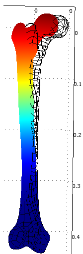 Ryc. 20.