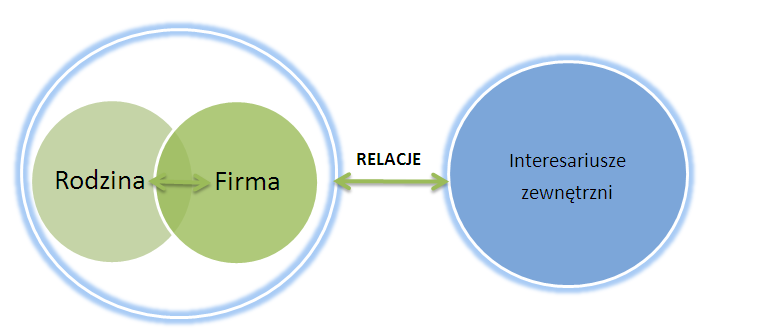 rodziny 3 interesujące staje się kształtowanie strategii odnoszącej się do oczekiwań szerokiej grupy różnych interesariuszy.