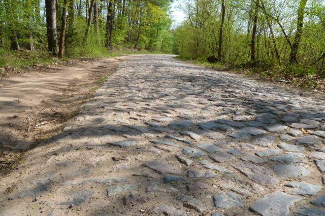 Tam nie! To kierunek do Warlubia. Powiedziałem, że skręcamy na prawo, do Grupy.