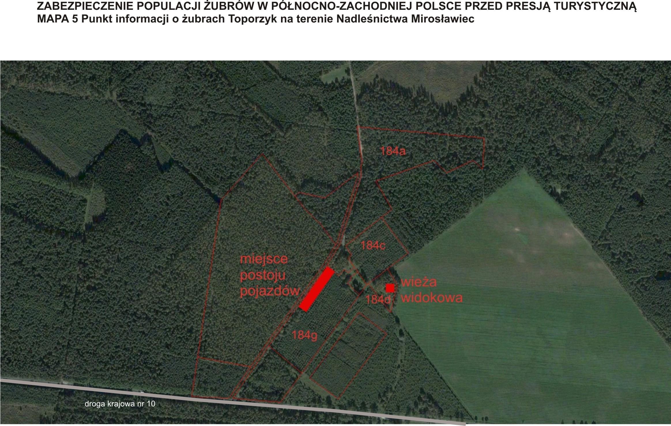 za Zabezpieczenie populacji żubrów w północno-zachodniej