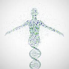 Funkcja DNA Kodowanie informacji związanej z sekwencją RNA i białek,