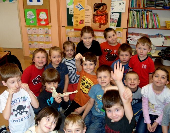 Listopad 1. Tajemnice ludzkiego ciała: Co się dzieje ze zjedzonym obiadem?