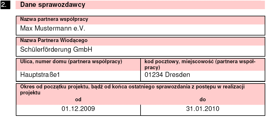 3. Sprawozdanie z postępu w realizacji projektu Dane dotyczące projektu i sprawozdawcy Ustalenie okresu