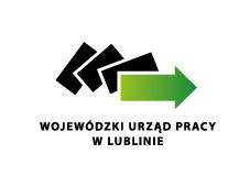 badań i analiz w projekcie Lubelskie Obserwatorium Rynku Pracy kontynuacja Lublin, 11.06.2015 r.