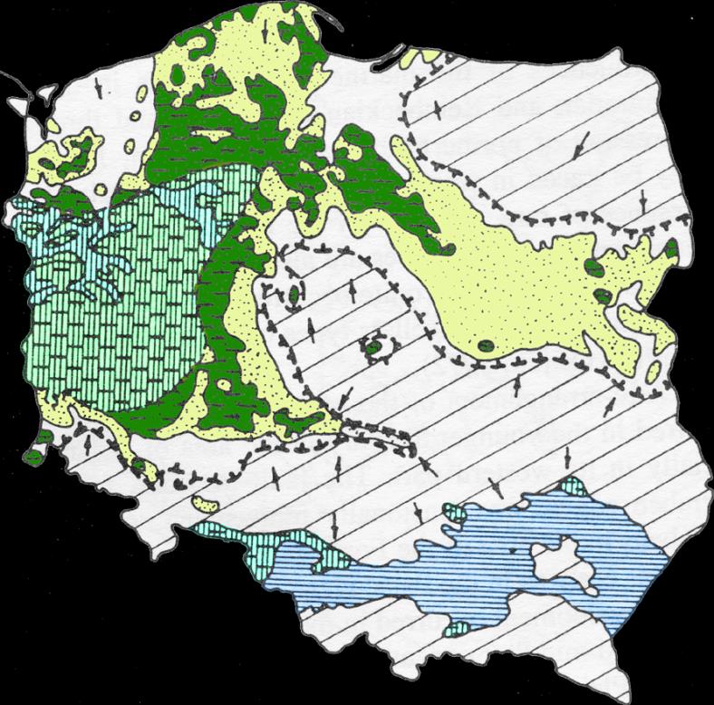 subtropikalny; podobny do Florydy środkowy miocen Ważyńska (1998)