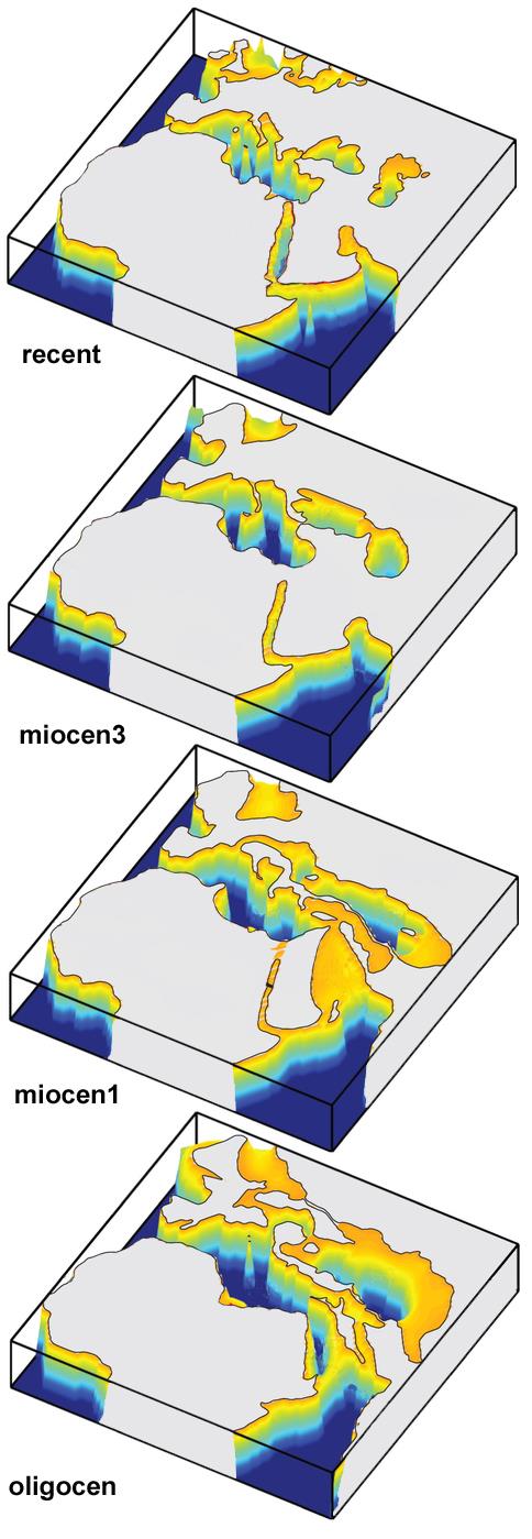 OCEAN TETYDY i morze Paratetydy Morze Śródziemne i Czarne to resztki Oceanu Tetydy w miocenie morze zalało otoczenie