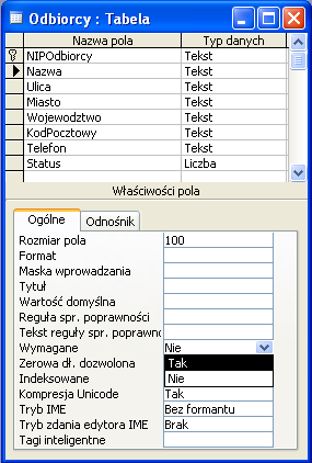 Wymuszenie wprowadzenie danych Właściwość Wymagane określa, czy w polu trzeba koniecznie wpisać wartość