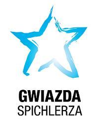 Celem konkursu jest wyłonienie grupy najlepszych produktów i usług z obszaru Spichlerza, które dzięki swoim walorom jakościowym i użytkowym będą kreatorem marki Gwiazdy Spichlerza godła promocyjnego