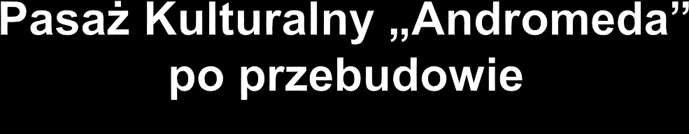 Pasaż jest elementem integracyjnym, łączącym dwie istotne dla mieszkańców przestrzenie publiczne, jakimi są Plac Baczyńskiego i