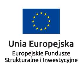 Każdy wymieniony wyżej element musi zawierać następujące znaki: Znak Funduszy Europejskich (FE) złożony z symbolu graficznego, nazwy Fundusze Europejskie oraz nazwy programu, z którego korzystasz.