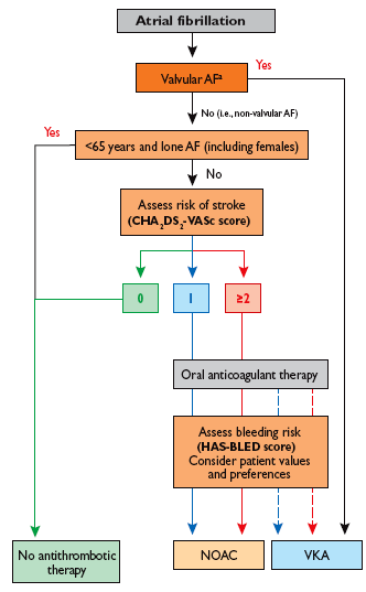 Wybór antykoagulacji u chorych z AF według zaleceń ESC/EHRA z 2012 roku linie